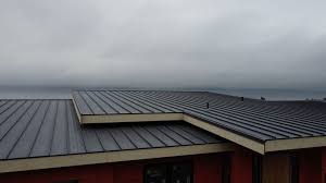 Sheet Metal Roofing in Larksville, PA